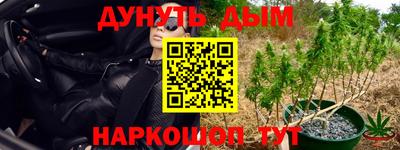 МДПВ Гагарин