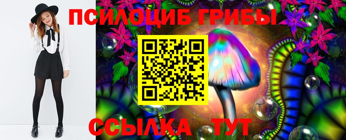 Нефтекамск  Галлюциногенные грибы прущие грибы  Вход с VPN 